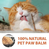 *Natural Dog Paw Balm – Soothing, Moisturizing, and Protective for All Seasons