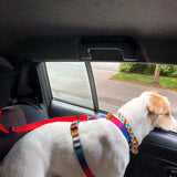 Solid Color Two-in-one Pet Car Seat Belt - Shopsunshineblossoms