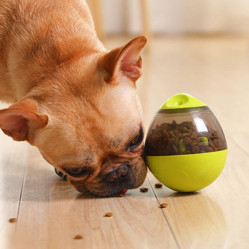 Pet Dog Ball Food Dispenser Interactive Puppy Feeder Training Toy