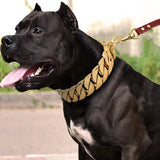 Silver Gold Show Collar-For Large Dogs Pitbull Bulldog - Shopsunshineblossoms