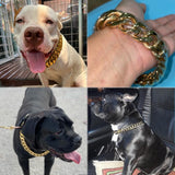 Silver Gold Show Collar-For Large Dogs Pitbull Bulldog - Shopsunshineblossoms