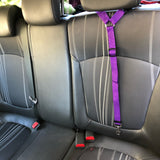 Solid Color Two-in-one Pet Car Seat Belt - Shopsunshineblossoms